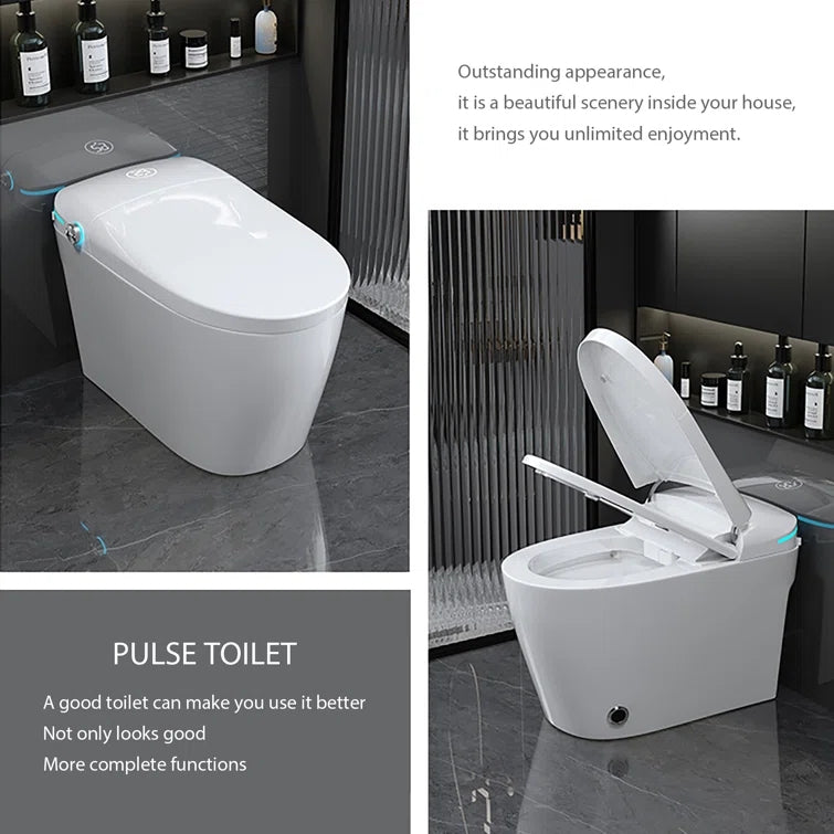 Loniko ST001-1 Auto Open/Close Lid Smart Toilet Bidet with Built-in Tank