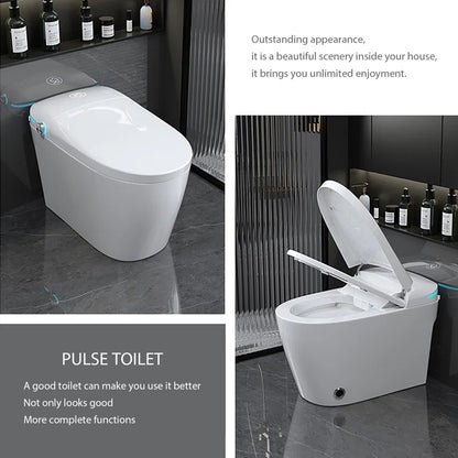 Loniko ST001-1 Auto Open/Close Lid Smart Toilet Bidet with Built-in Tank