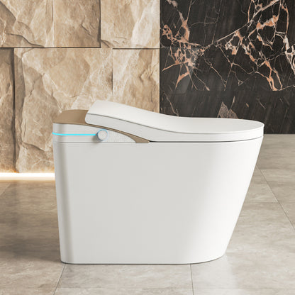 Loniko K1 Smart Toilet, One-Piece Bidet, Heated Seat & Auto Flush